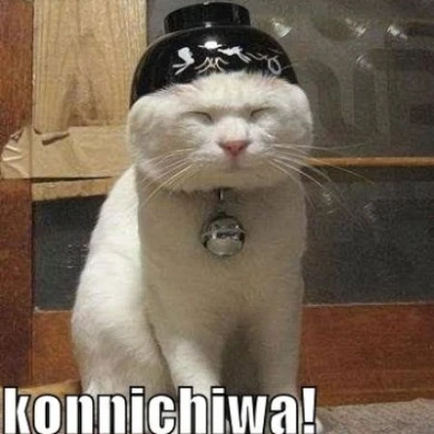 inscription 9b0360ddf5292c3ba3a08494be16e16d64a17bcbf4c05584445f089ecb88920ei0