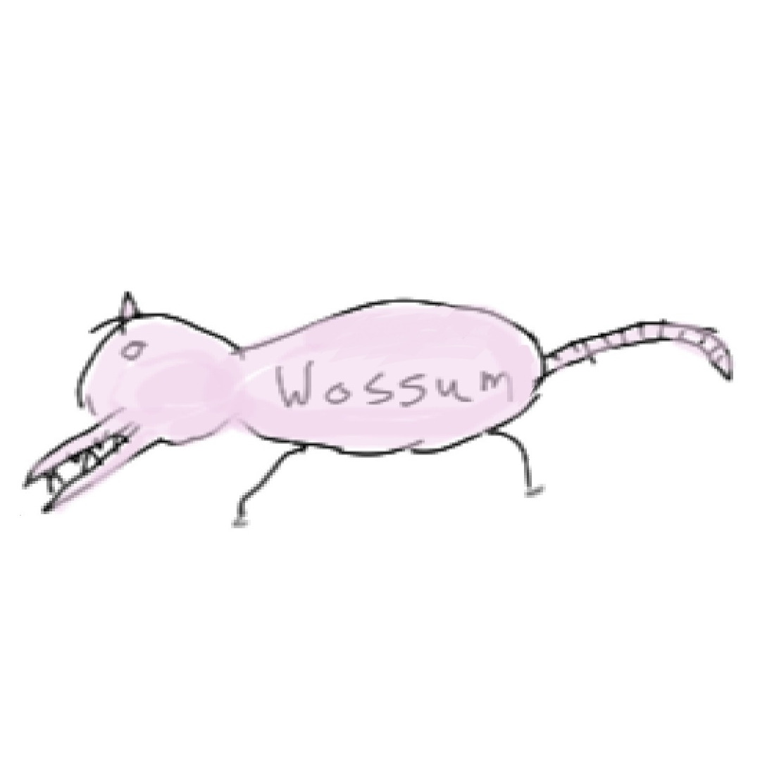 inscription 9c17cba7018e2f85249668815950053c5f2b1a3d636980c628f55b0ff83c78a4i0