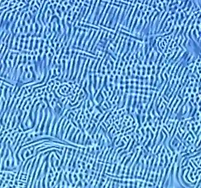 inscription a38d2a61df2d7fae03f74703872565a5bcd0696985b3270e0f64f493e3e93992i4