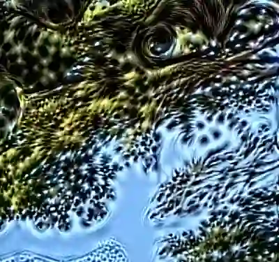 inscription a38d2a61df2d7fae03f74703872565a5bcd0696985b3270e0f64f493e3e93992i9