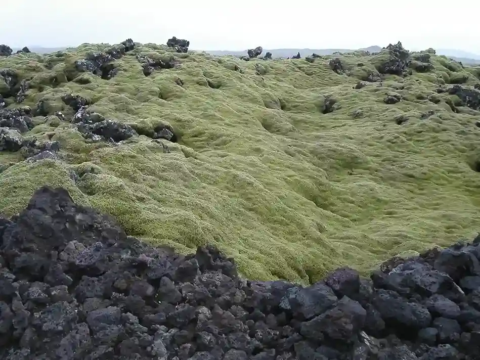 inscription a9cce82d9c1ec3a0e3933667062b02e494907c794afc3ead4714c583f807bfc4i0