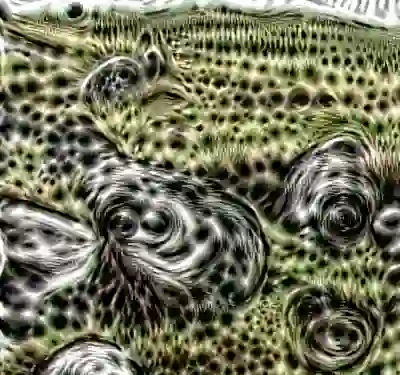 inscription aaf1aa9a7ef8684f686c5c0050f5aa6ba3400bbe144a01e4c4c40add679c7661i0