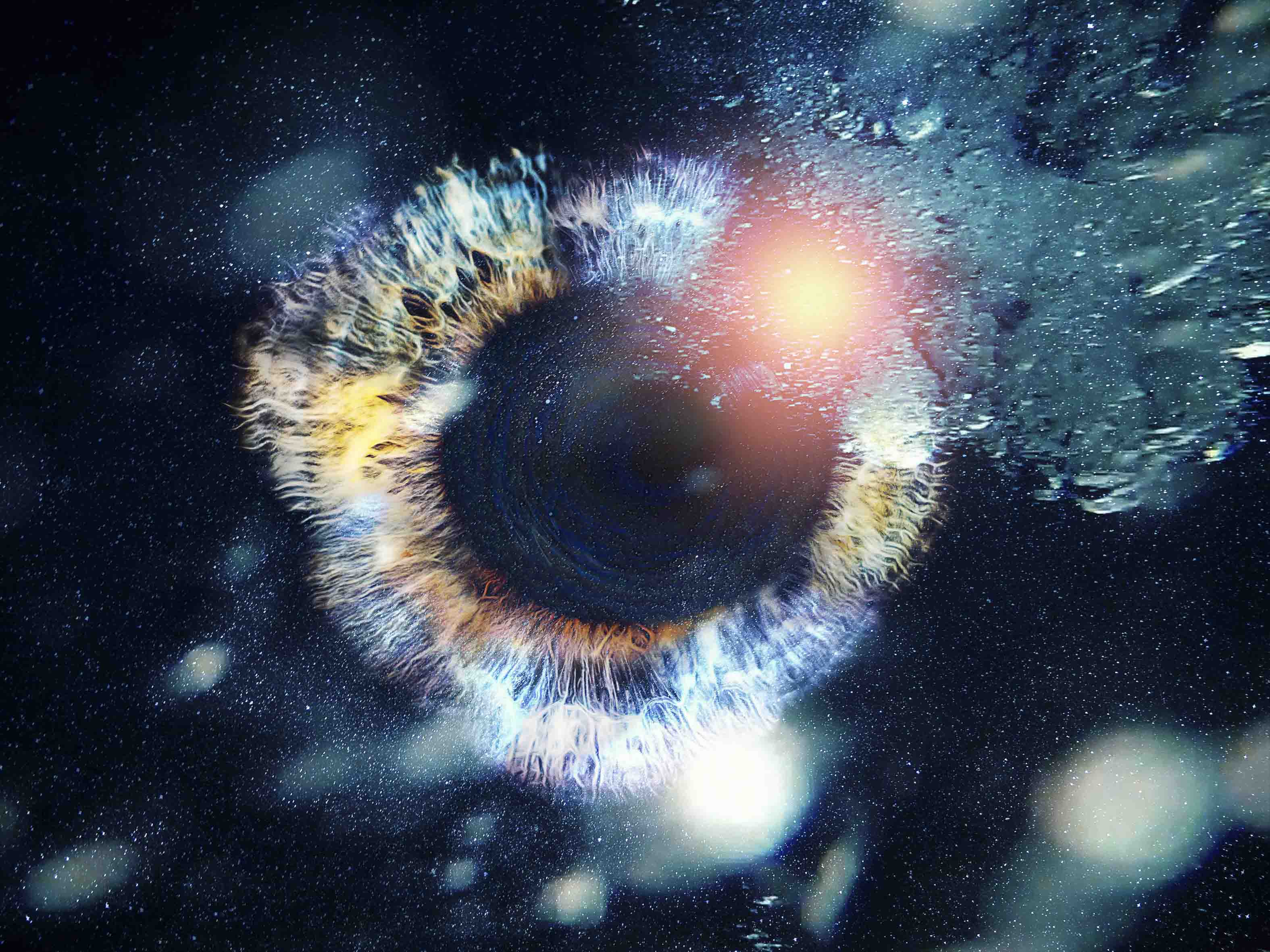 inscription ab79e335ca2296c590f34f50d02abeef6cf28685fe8eaf8914fb84c6d30843dci0