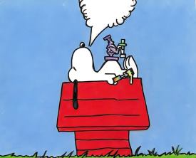 inscription ab98439163dc360bcb46a1baab4627ba7ee75b3568940556a07e758db9949135i0