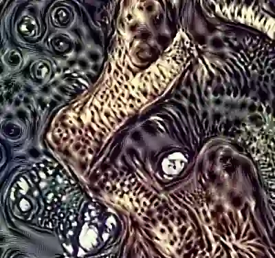 inscription abd709dbc907cef55fb1f51b236337b9dd06ebf44e6856a360f46f16b40bc039i1