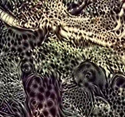 inscription abd709dbc907cef55fb1f51b236337b9dd06ebf44e6856a360f46f16b40bc039i2