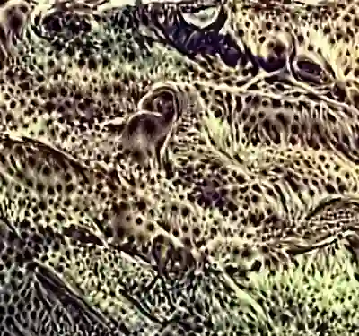 inscription abd709dbc907cef55fb1f51b236337b9dd06ebf44e6856a360f46f16b40bc039i3