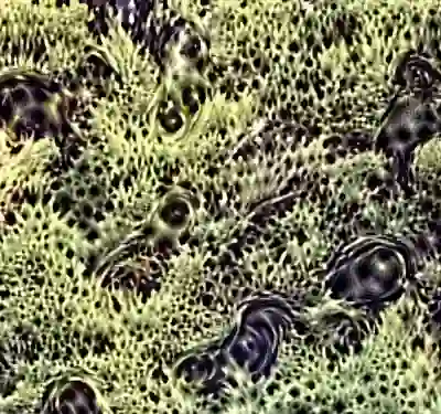 inscription abd709dbc907cef55fb1f51b236337b9dd06ebf44e6856a360f46f16b40bc039i5