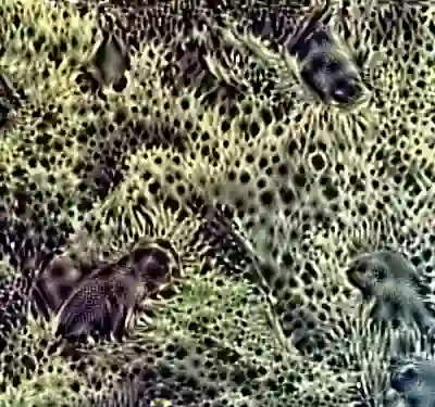 inscription abd709dbc907cef55fb1f51b236337b9dd06ebf44e6856a360f46f16b40bc039i6