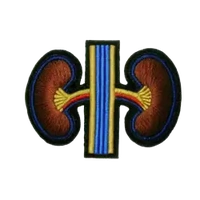 inscription b678b2c63256290493c348e94b3a0aebf7ddc2499fbf2df3bca579befafb8fb3i16