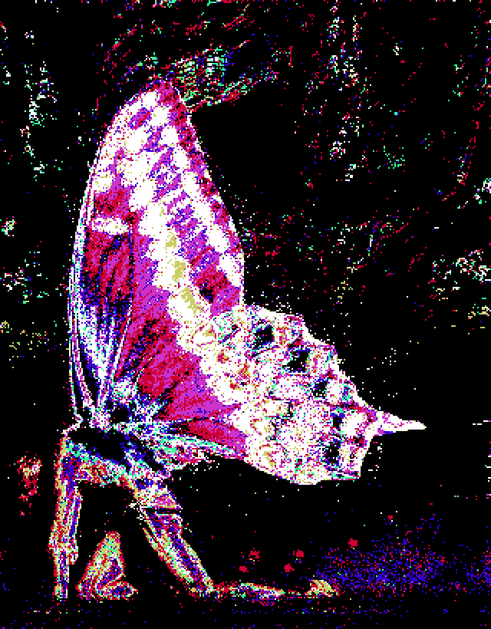 inscription b6c40be9cedc74706fef5e369b469ed38d7c5abf18d23aa2398f2a9a465ff9d4i0