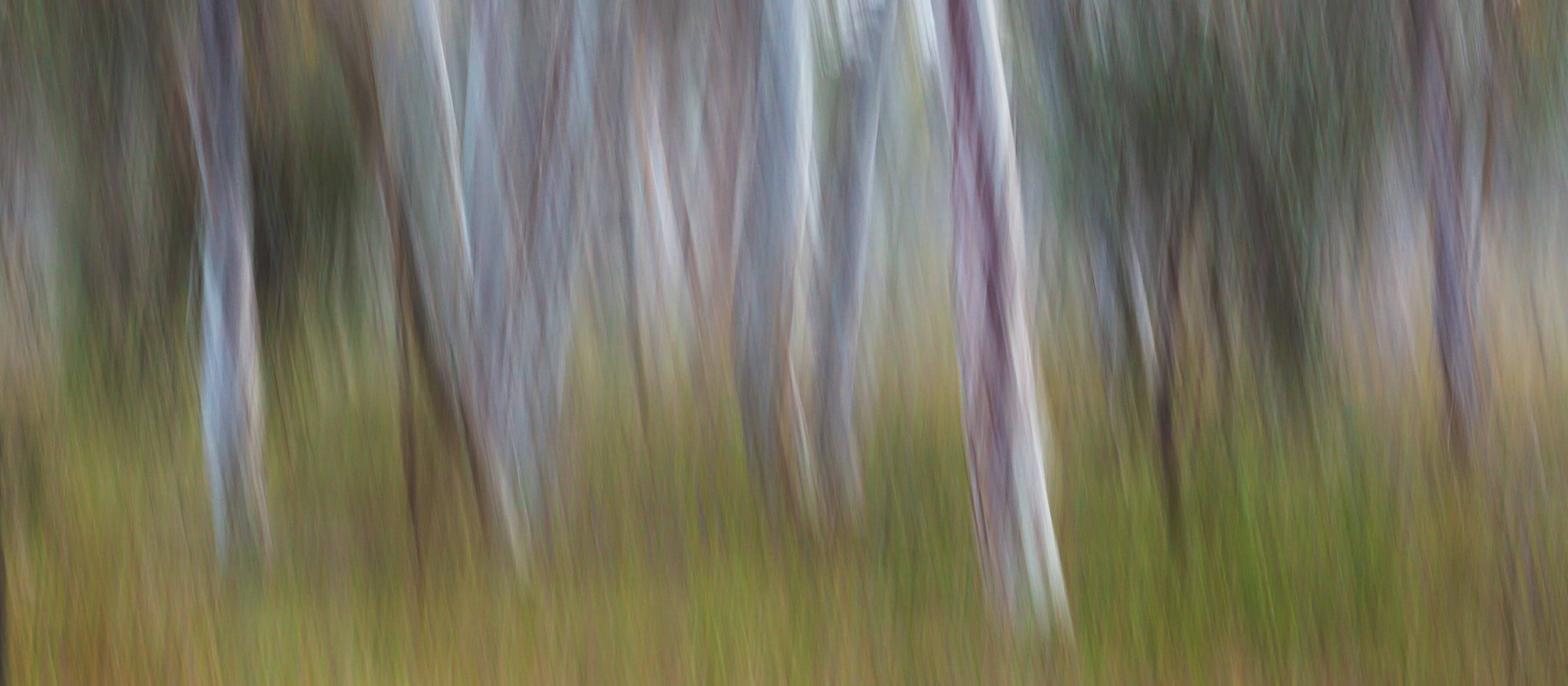 inscription b86d6776448339e916b2013630d4cdbf77503ef8cc34656f71c61fb423bfbf86i0