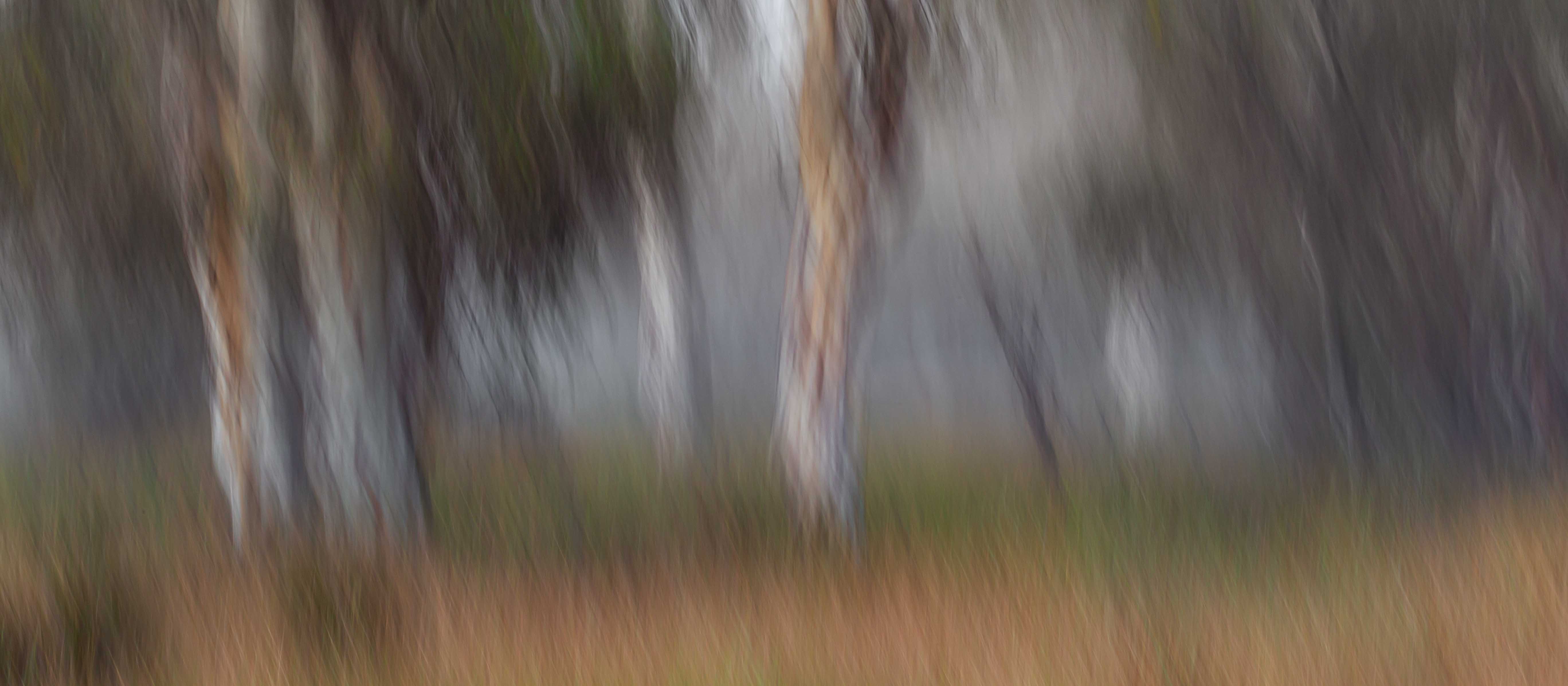 inscription b8b674383e01fec4f3af5723b83fd58257607ec5a4480f377aee9a22e3d4de20i0