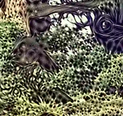 inscription ba72e566262730a5db965cd879b0bbd3caddece74914ea539e9662ece57c2cb2i0