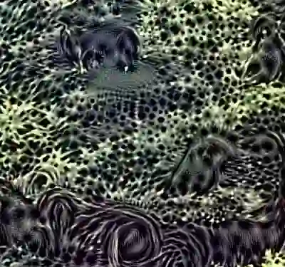 inscription ba72e566262730a5db965cd879b0bbd3caddece74914ea539e9662ece57c2cb2i9