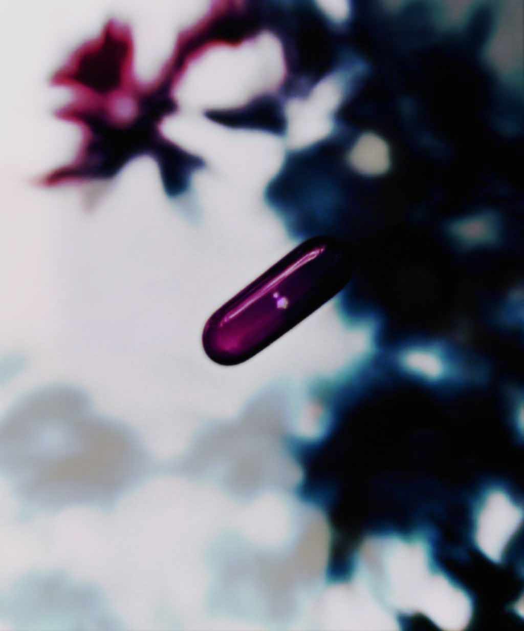 inscription bbc9560d6498e7671d948410960de48a38e3ad3004761bbda968161573b83f3ei0