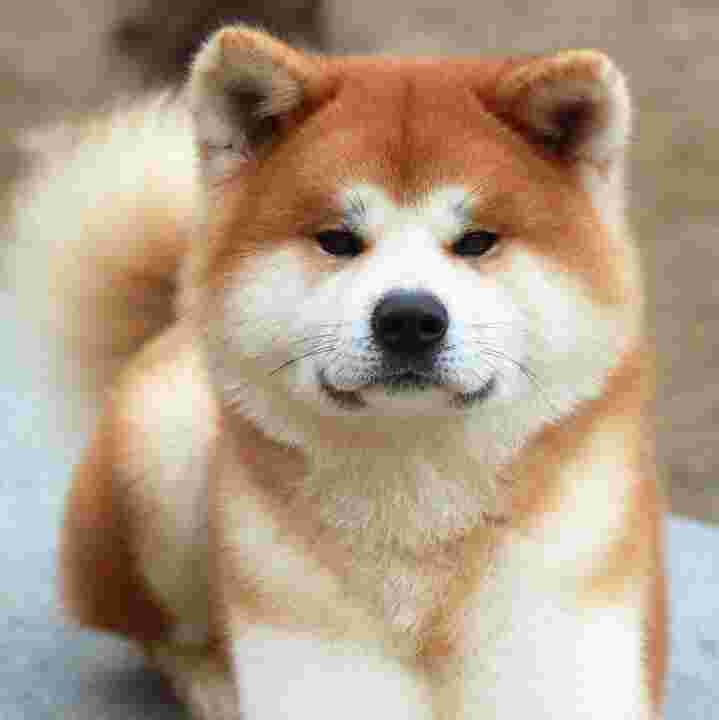 inscription bf8092e1f546a403c28c4d8e8718cf25e2e32828036b8db67fce42e84918e6eci0