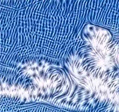 inscription c46c918e893c41b4f07e928f4d7e32eb454a5b40ddc1540ffe95d75e70e1b16ai1