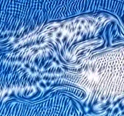 inscription c46c918e893c41b4f07e928f4d7e32eb454a5b40ddc1540ffe95d75e70e1b16ai6