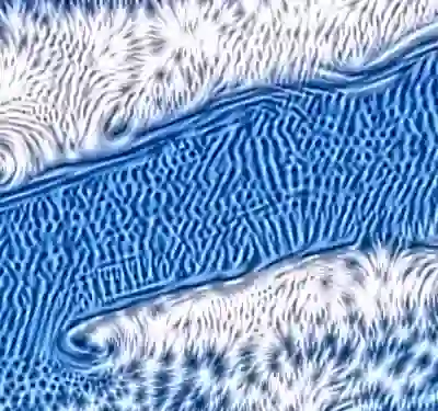 inscription c46c918e893c41b4f07e928f4d7e32eb454a5b40ddc1540ffe95d75e70e1b16ai8