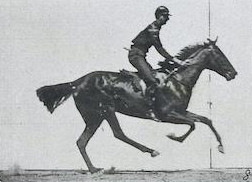 inscription c6216c2556f403957eef1711dceec4ae72875234c3a1671f804808dde8b92f26i0