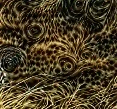 inscription c84f24b3d3fd6314a0c413ebe33376d146c05184fef41a728aab698afb26597ei0