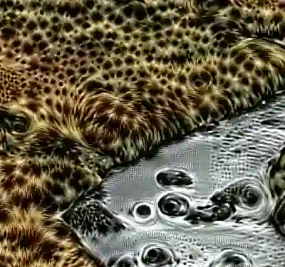 inscription c84f24b3d3fd6314a0c413ebe33376d146c05184fef41a728aab698afb26597ei5