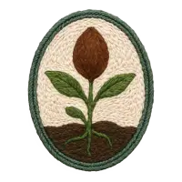 inscription ce9af85bb98898661d73311436f85fa51b8d92d369f126a81752344c24cc9b68i16