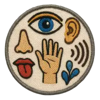 inscription ce9af85bb98898661d73311436f85fa51b8d92d369f126a81752344c24cc9b68i23