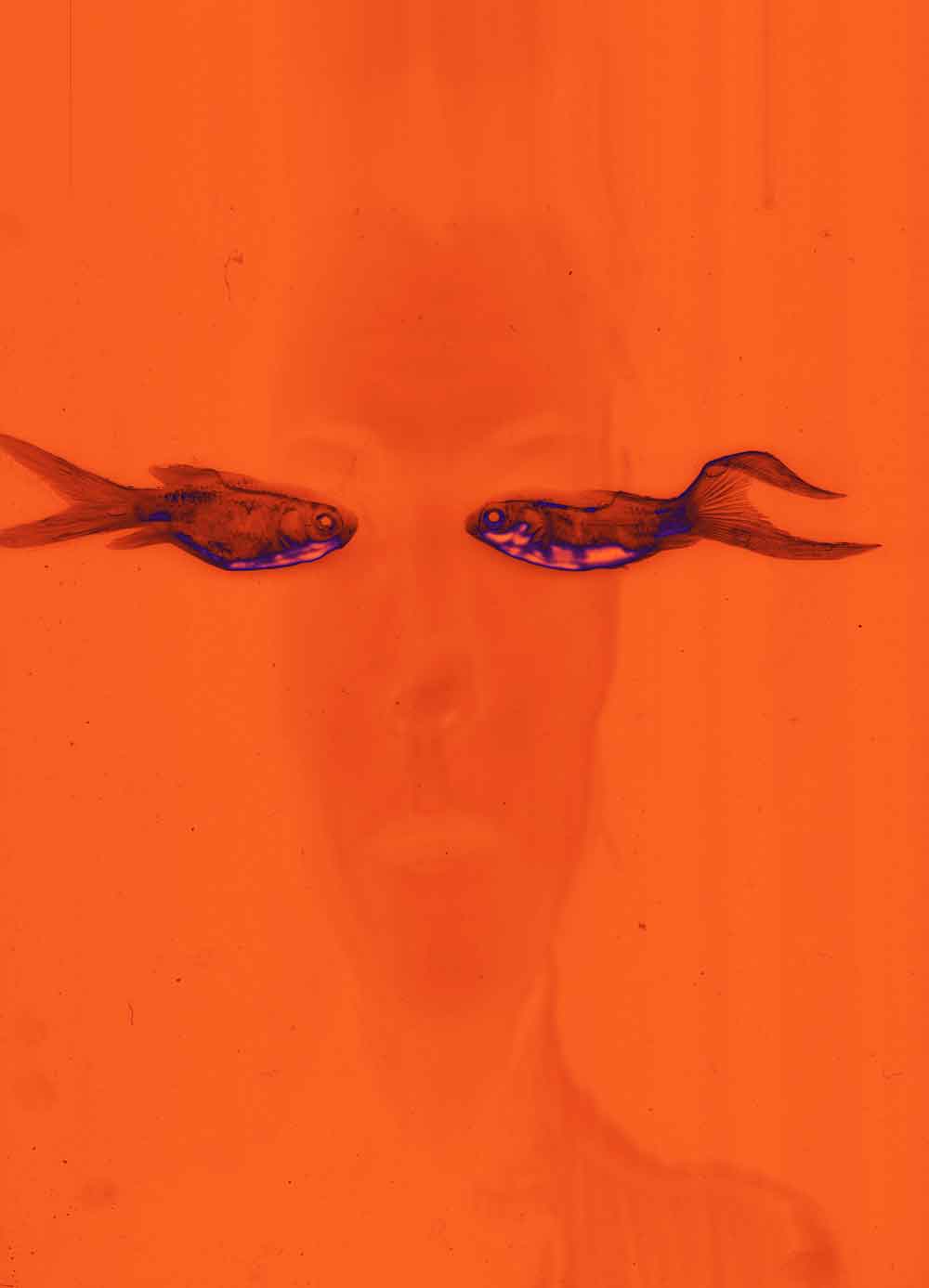 inscription cf1b6eea5e6c999473390466a7b328394809310a1efc38e653f7e2db3c1f24e6i0