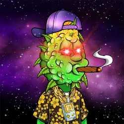 inscription d26e774a5446c49b30466af5300c177fe06cb4c83d9047a7cf15b425ffd53536i0