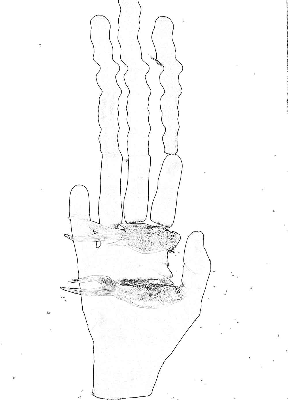 inscription d36199f892b04975039cac0fb78c0cea1afb1e247ee3fd93623ffb5c0bc765b5i0