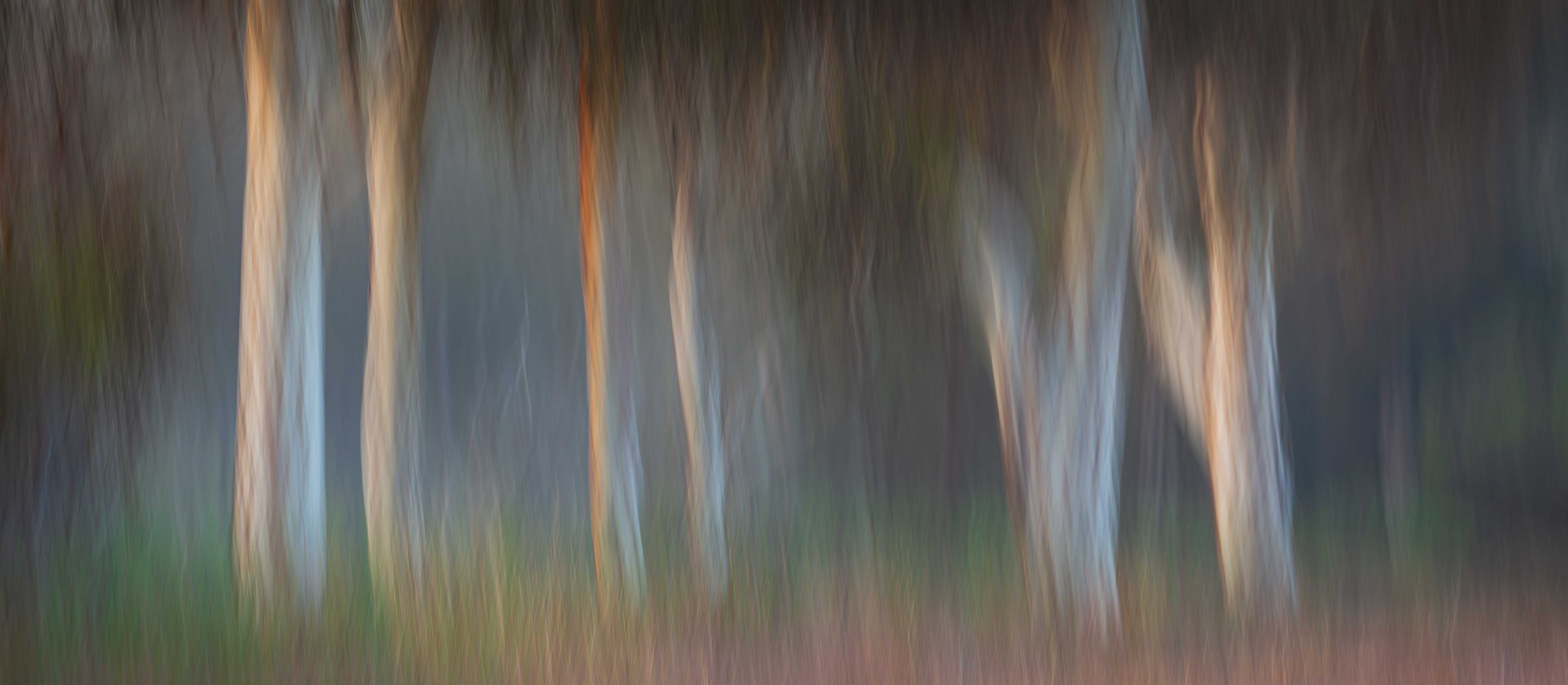 inscription d3c186487f4a826f4286acb7e24b5731ededcdc8088521505ef6fcfae1d987e8i0