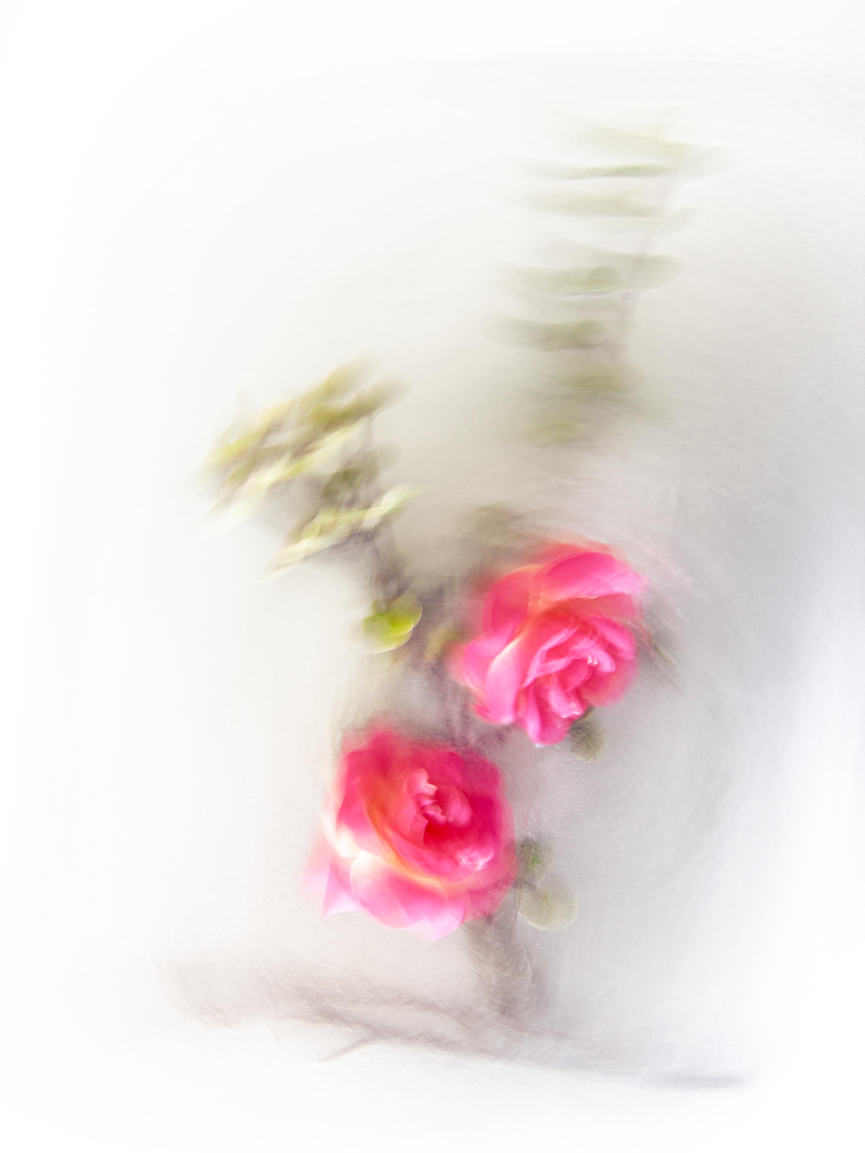 inscription d6ea8188a7697f434eaa122c0a2087f1cce26404f9a18f8733996693c0911163i0