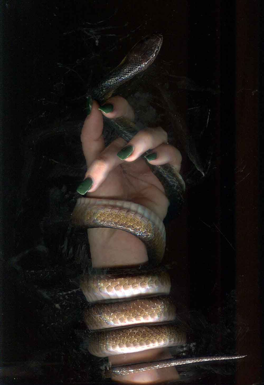 inscription d7836002646da22b1f66829bf4290016ed17d3c4298af92a536c6a879e970ef2i0