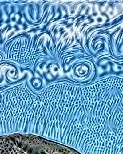 inscription da491fbb275ee3863850adcea417c74359ee8909b53b811ef5c62b96f0caf31bi5