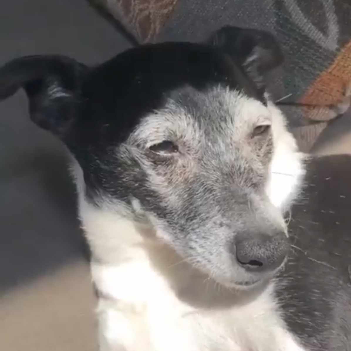 inscription da4fd6f8f38f2c3c541075fbed05c428471ff91c7c4c818d4d48e09d9b7c197ci0