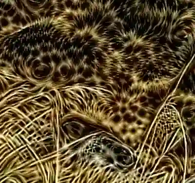 inscription debbc826f4b825fcf10532d8cdbca6769a2ad00fdca88b6a1cc789dd35188e05i2