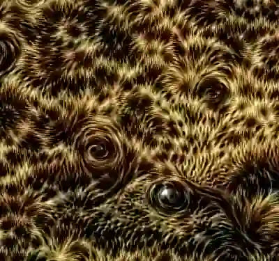 inscription debbc826f4b825fcf10532d8cdbca6769a2ad00fdca88b6a1cc789dd35188e05i4