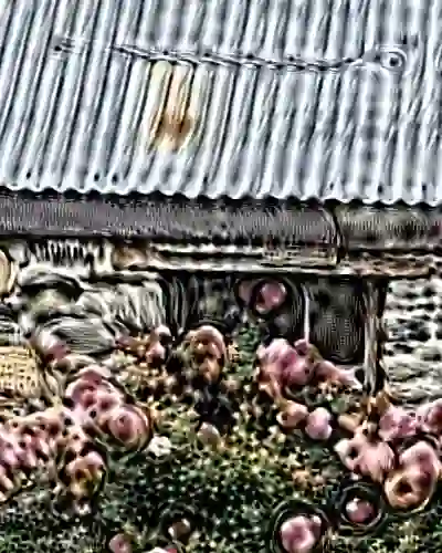 inscription e00300dbc9abcf78b69c0f8e95057788ede37cc21504e2211a98fdf9d5d9ff75i3