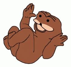 inscription e86453fde029c45bf441aa12448d492fe5d016f087e14e773a34bb699a759051i0