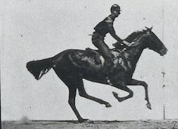 inscription ebae01c3d3cafa5453b45e0b937e82d8f1865819385b214e622574983e0cbf5ai0