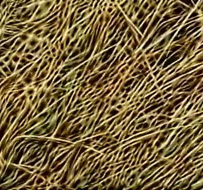 inscription ed9d0f372339062ab1f35106f4a81e741ddabf26556bb0315f2dc4ddc941dde1i0