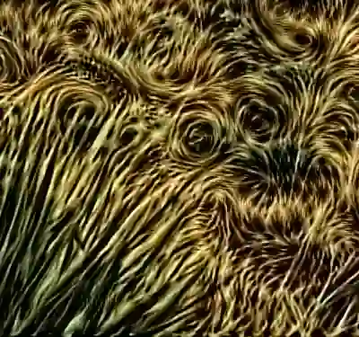 inscription ed9d0f372339062ab1f35106f4a81e741ddabf26556bb0315f2dc4ddc941dde1i4