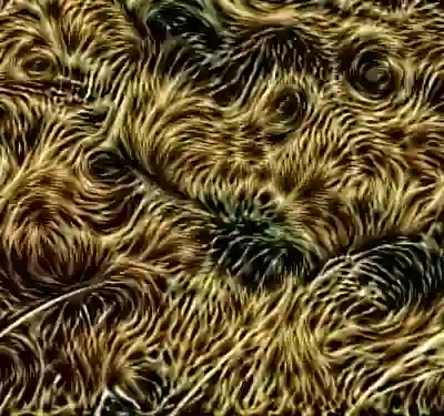 inscription ed9d0f372339062ab1f35106f4a81e741ddabf26556bb0315f2dc4ddc941dde1i5