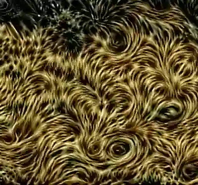 inscription ed9d0f372339062ab1f35106f4a81e741ddabf26556bb0315f2dc4ddc941dde1i7