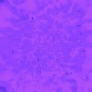 inscription edca8c38cc6f9c40610a7787ce760978bf5a8eb00d75048265c1b1e3fb2dbc0bi0