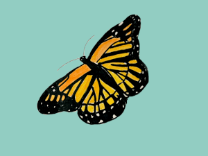 inscription f6f5227ee32022f98e95752c022b6aa9c2a924ac1eb1a324b317696d670d864di1