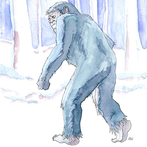 inscription f91474c990cd9b132353450f9fd16fcd1405ac3c07d5f67f7776c2775cc46fa9i1