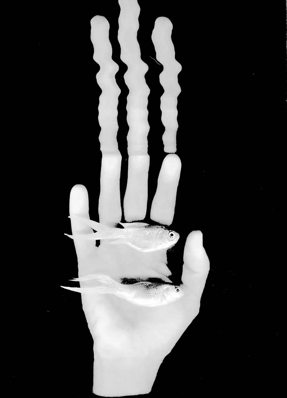 inscription fcc3303201ae3ec821acd95bccf0d885531557de9702dfaea9386eb0564010eai0